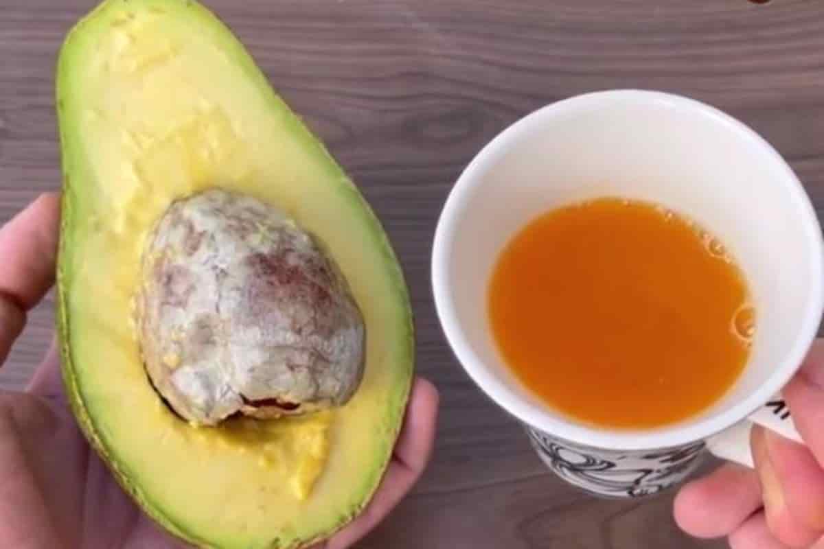 Receita de Chá de Caroço de Abacate: 3 Segredos para a Saúde